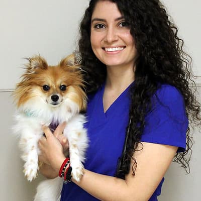Liset Diaz, DVM
