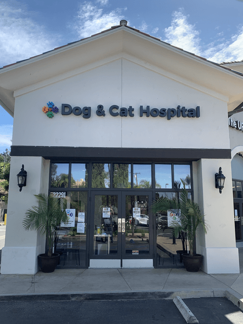 Front entrance of Dog & Cat Hospital Calabasas