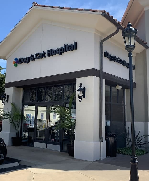 Exterior entrance of Dog & Cat Hospital Calabasas